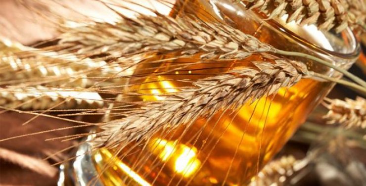 Ayia Napa Beer Lovers Festival