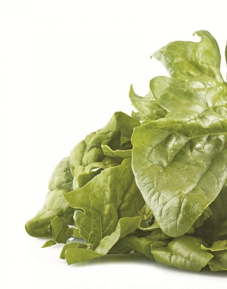 Γιατί να βάλεις το πράσινο στη ζωή σου