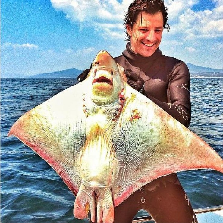 Το τεράστιο σαλάχι που έπιασε ο Σάκης Ρουβάς!