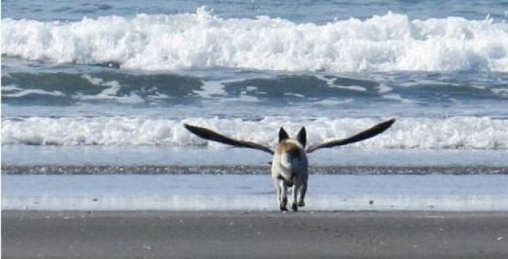 Η φωτογραφία που σαρώνει στο διαδίκτυο