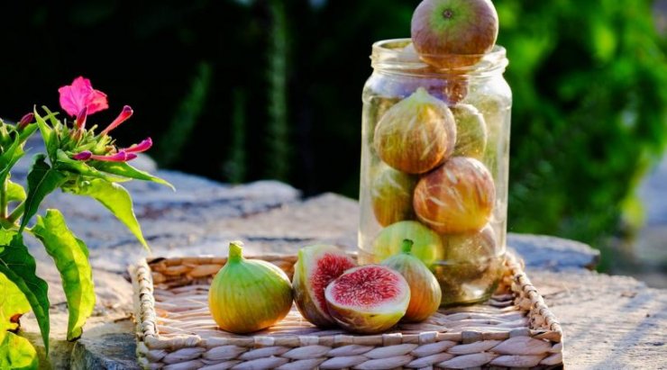 10 προτάσεις διασκέδασης για αυτήν την εβδομάδα