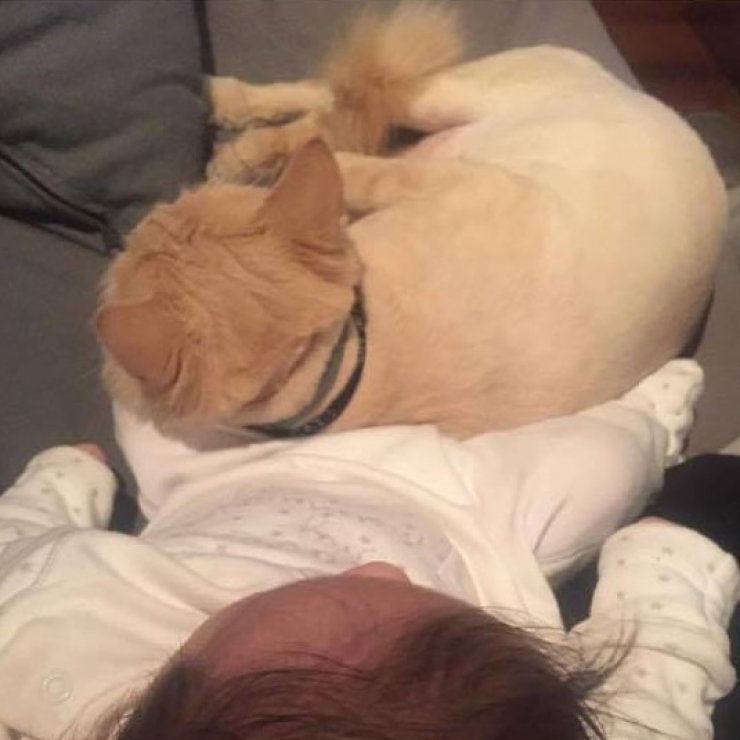 Η πιο τρυφερή φωτογραφία του σχεδόν δύο μηνών γιου Κύπριας socialite!