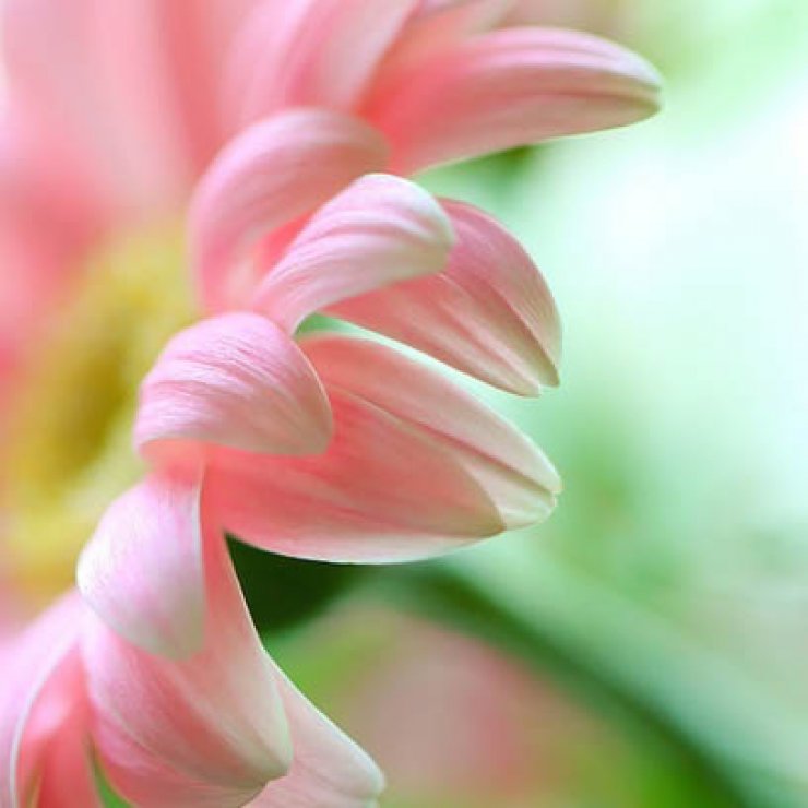 Ανοιξιάτικες αλλεργίες: 8 τρόποι να διώξεις τα συμπτώματα!