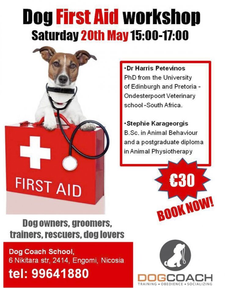 Σεμινάριο πρώτων βοηθειών για σκύλους