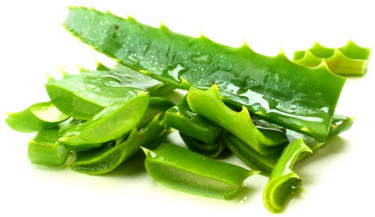 Αλόη: θεραπευτικές, θρεπτικές και καλλυντικές ιδιότητες