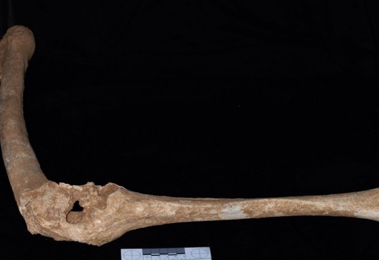 Σημαντικές αποκαλύψεις για Φίλιππο Β’ και Μέγα Αλέξανδρο 