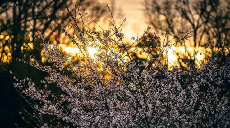 Τι προβλέπουν τα ζώδια για το Σάββατο 27 Απριλίου 2019;
