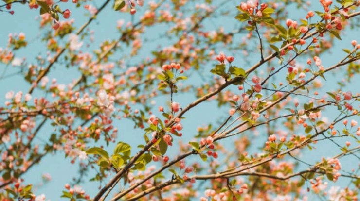Τι προβλέπουν τα ζώδια για την Κυριακή 28 Απριλίου 2019;