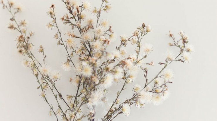 Τι προβλέπουν τα ζώδια για τη Δευτέρα 29 Απριλίου 2019;