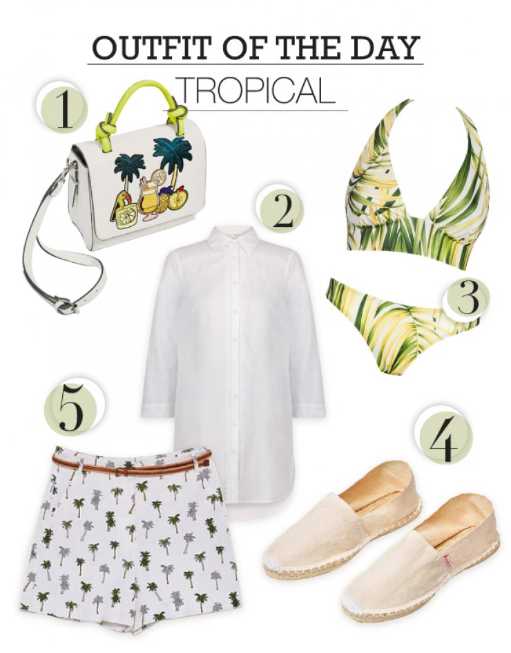Tropical