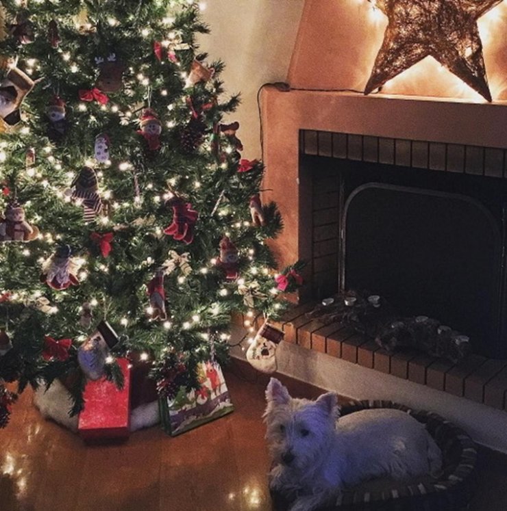 Τα πρώτα Χριστούγεννα Ελληνίδας τραγουδίστριας με τον μπόμπιρά της