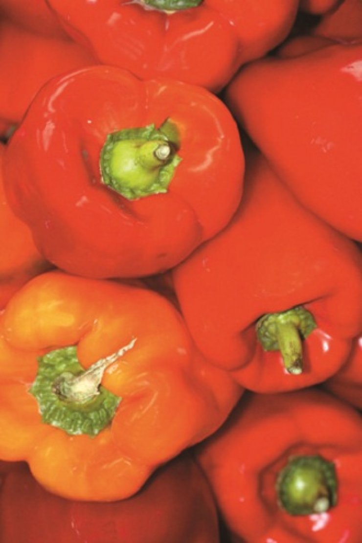 Χορτοφαγία: Τι πρέπει να γνωρίζεις (Μέρος 2ο)