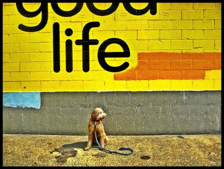 Πώς θα κάνουμε πιο αποδοτική την Κυριακή;