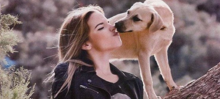 Η Εριέττα Κούρκουλου ναυλώνει δύο πούλμαν για Βουκουρέστι για να σώσει τα αδέσποτα