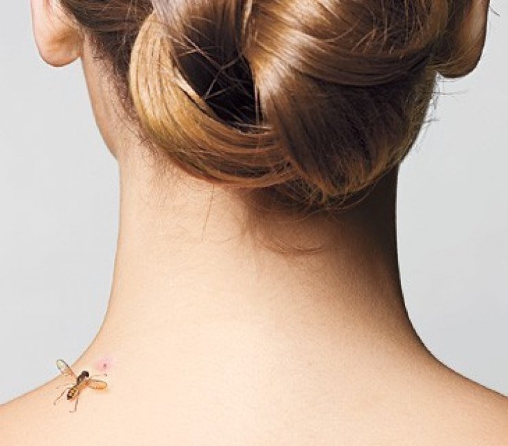 Καλοκαίρι και κουνούπια