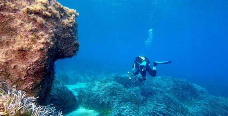 Μάθε για το Δίκτυο Αλιευτικών Περιοχών της Μεσογείου – MedNetPesca