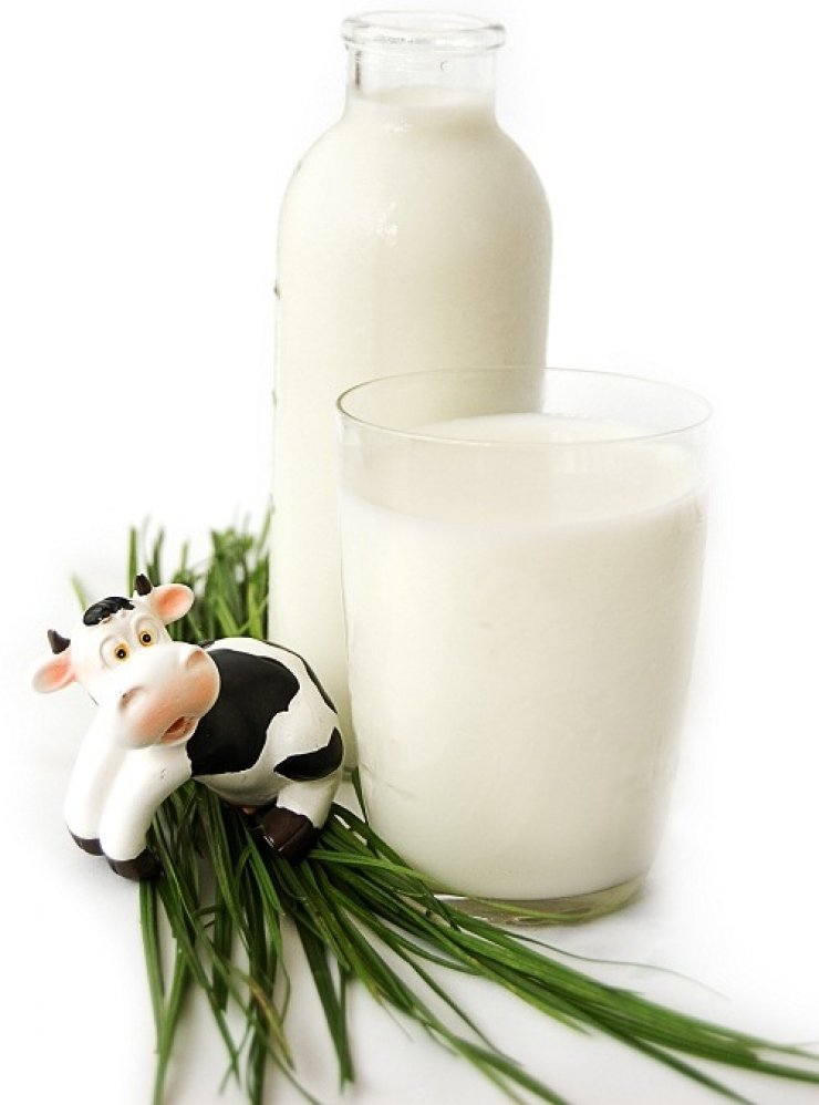 Γάλα: Μία σημαντική πηγή θρεπτικών συστατικών