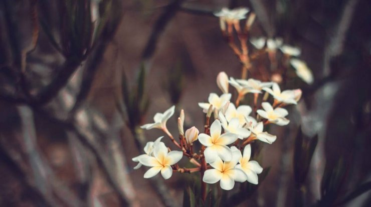 Τι προβλέπουν τα ζώδια για την Κυριακή 15 Μαρτίου 2020;