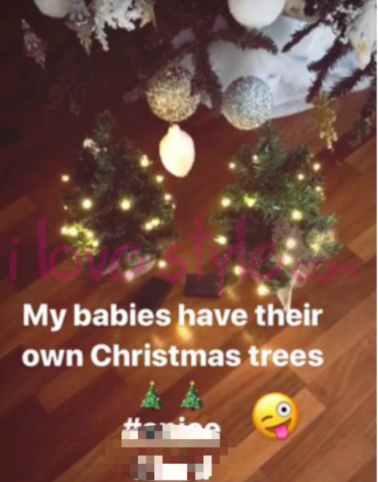 Απλά υπέροχη! Κύπρια socialite στόλισε χριστουγεννιάτικα δεντράκια για… τα σκυλάκια της!