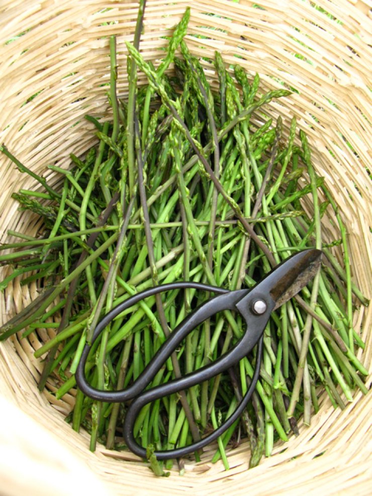 Οι τροφές που βοηθάνε στην αποτοξίνωση