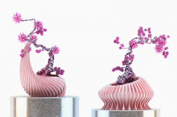 Εξωγήινα bonsai