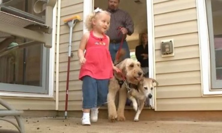 Ο σκύλος – σύντροφος ενός 3χρονου κοριτσιού! [βίντεο]