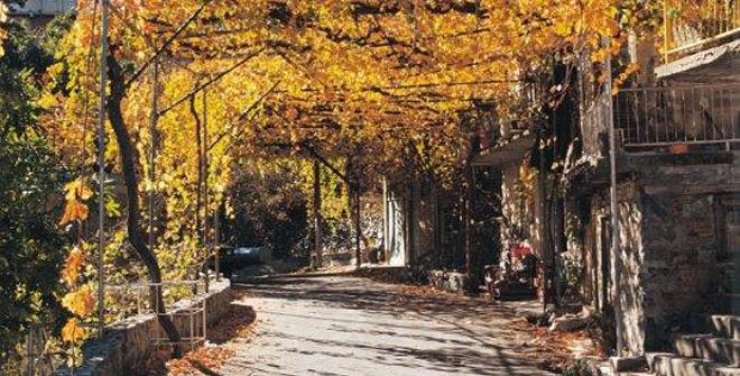 Φεστιβάλ Ζιβανίας στα χωριά Άλωνα και Πελένδρι