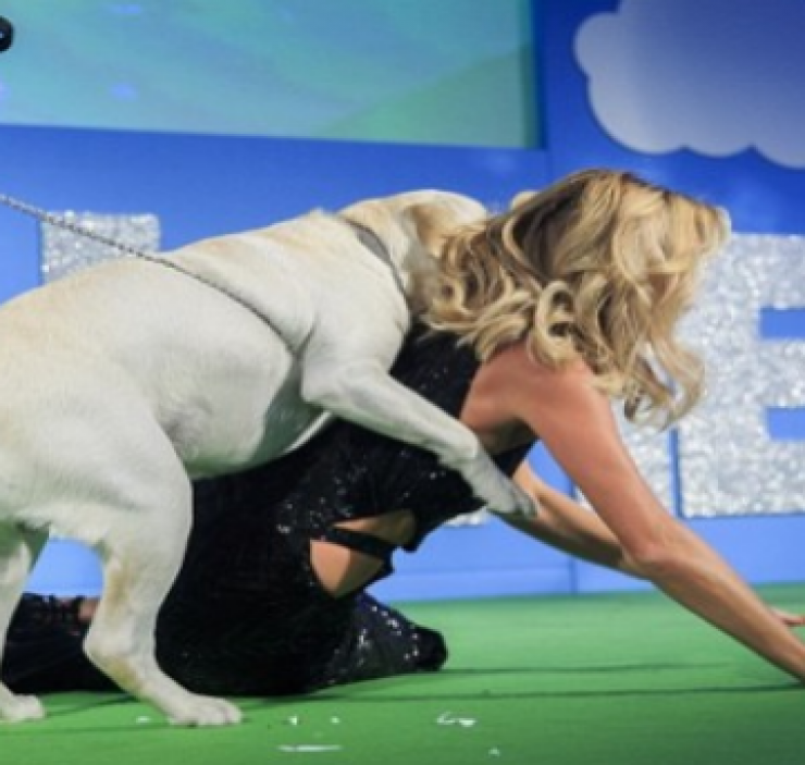 Απίστευτο: Σκύλος επιτέθηκε σε παρουσιάστρια και την έριξε κάτω!