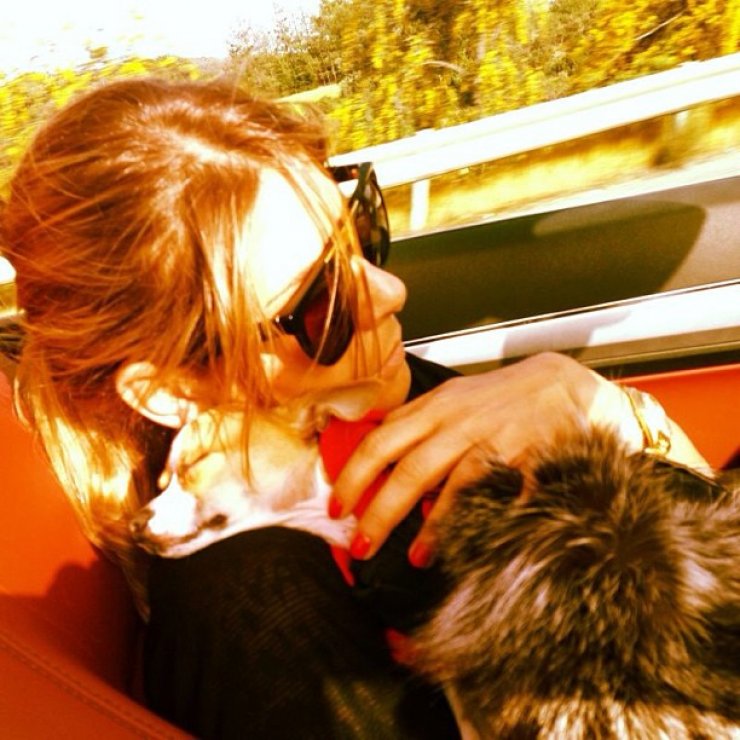 Άντρεα Λόρδου - Κρίστοφερ Κουτρουζάς: Εκδρομή! 