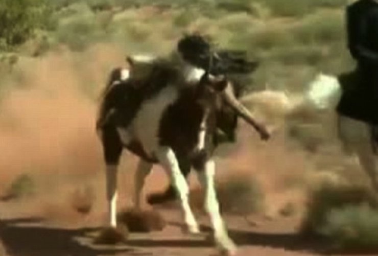 Γλύτωσε απο θαύμα ο Johnny Depp 