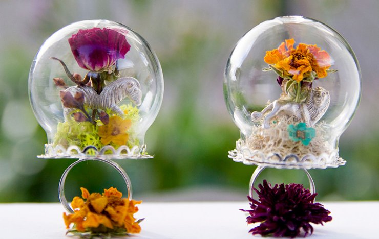 Σαν μικροί βοτανικοί