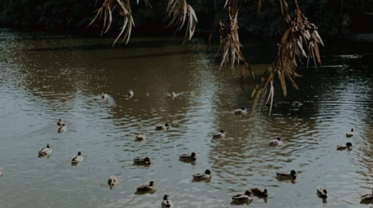 Αυτό είναι το πιο πολυφωτογραφημένο location στο instagram και βρίσκεται στο κέντρο της πρωτεύουσας!