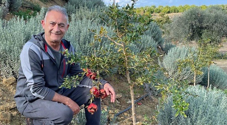 Αβέρωφ Νεοφύτου: Έχετε δει το εντυπωσιακό αγρόκτημα που διαθέτει στην Αργάκα; 