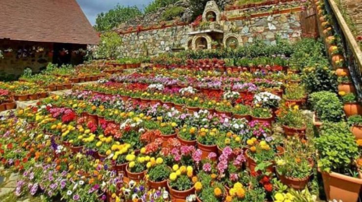 Αυτή η ολάνθιστη αυλή βρίσκεται στην Κύπρο και μπορείς να την επισκεφθείς