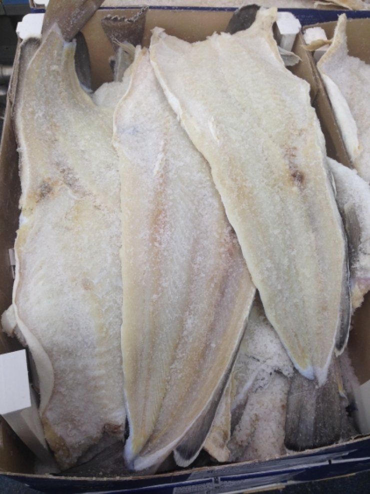 Πως ξαλμυρίζουμε τον μπακαλιάρο