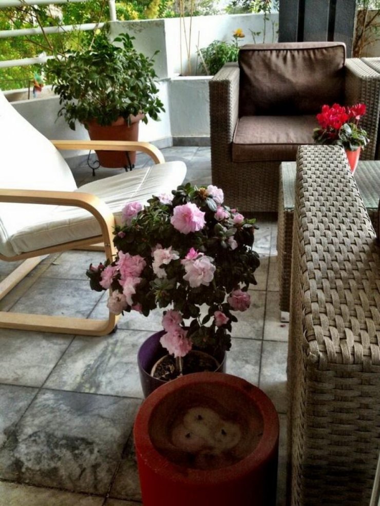 Ποιό πασίγνωστο ζευγάρι ηθοποιών πόσταρε αυτή τη φωτογραφία;