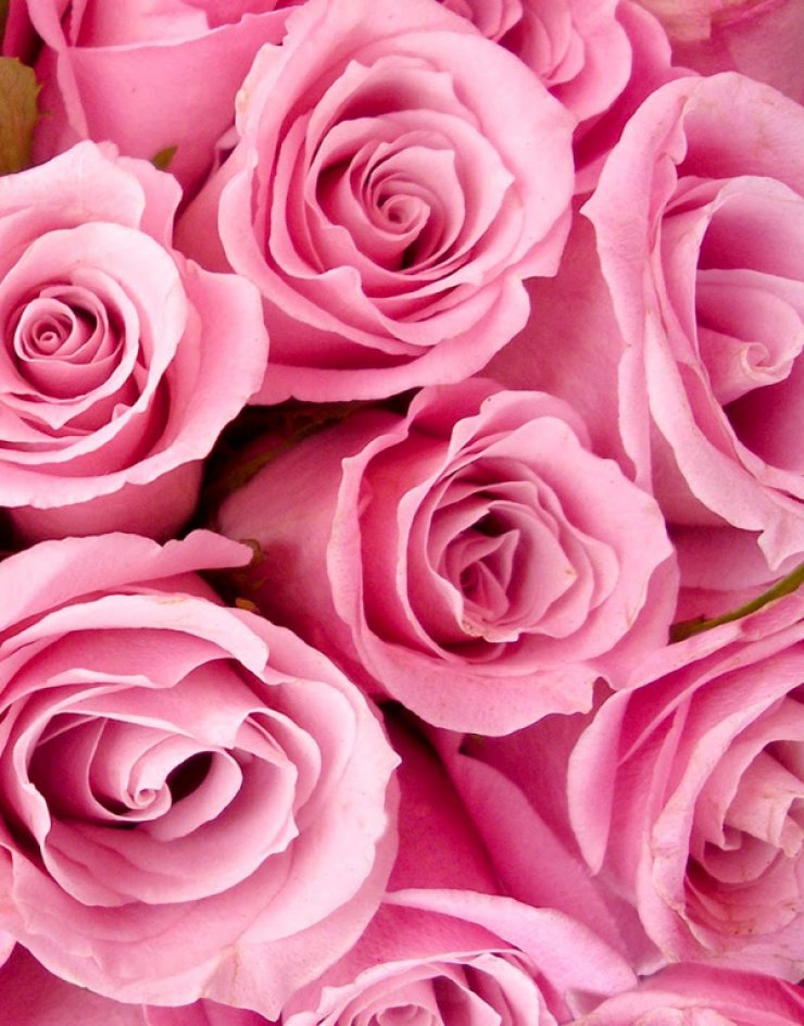 DIY: Αναζωογόνηση της επιδερμίδας με ροδόνερο