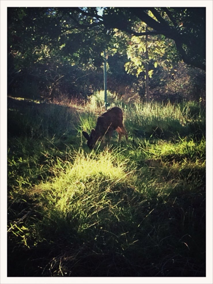 Οι παράξενοι επισκέπτες στο σπίτι της Jessica Biel και του Justin Timberlake