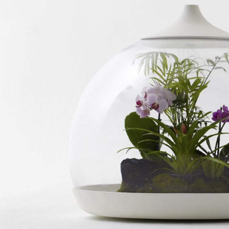 Avant garde οικοσύστημα