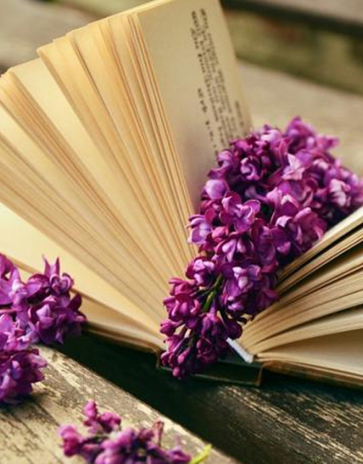 Μπες στον ρυθμό του Nicosia Book Fest 2017