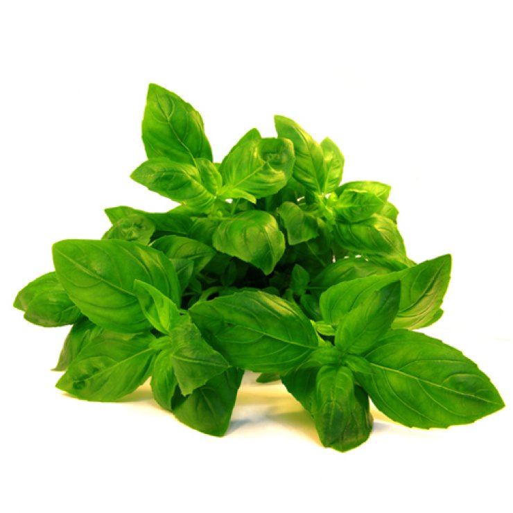 Τα βότανα … μας αφαιρούν κιλά