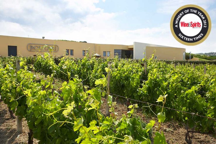 Οινοποιείο της χρονιάς ο Μπουτάρης