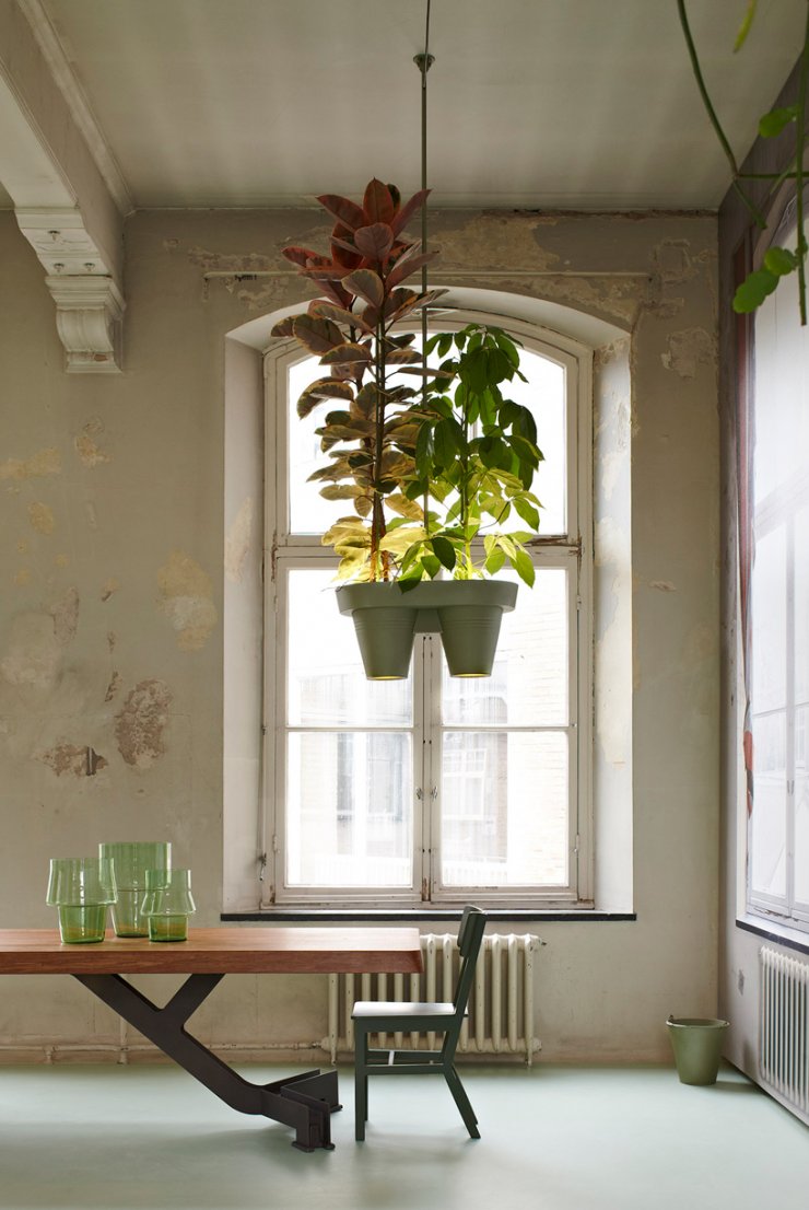 Τροπικό δάσος