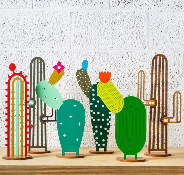 Cactus collection