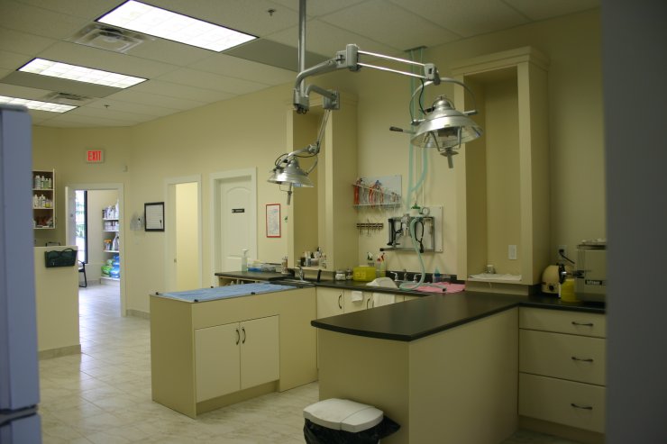 Μωρό νεκρό από εντομοκτόνο