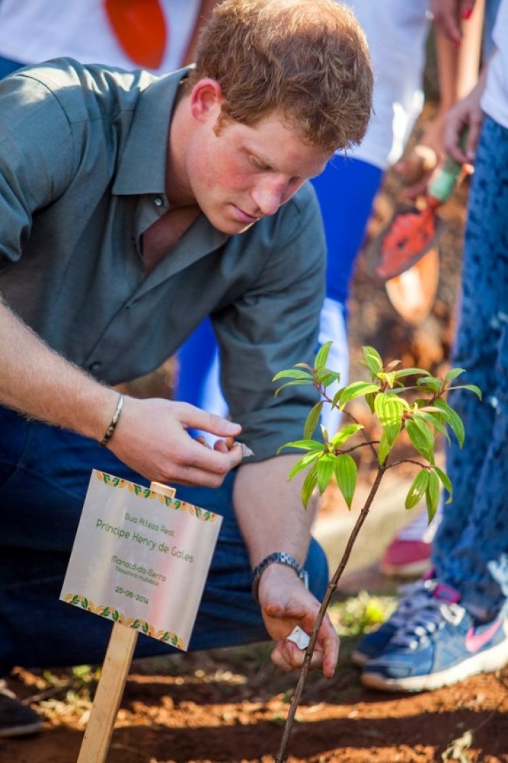 Τα δάκρυα του Πρίγκιπα Χάρι