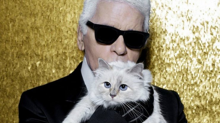 H γάτα του Karl Lagerfeld πρωταγωνιστεί σε μια νέα συλλογή 