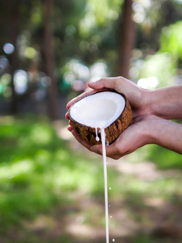 Καρύδα το θαύμα της φύσης!
