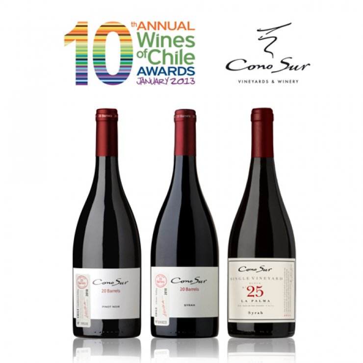 Οινοποιείο Cono Sur: το καλύτερο «Pinot Noir» και «Syrah» στη Χιλή