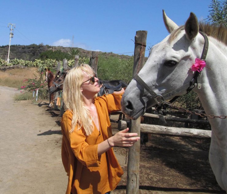 Πασίγνωστη ηθοποιός ξόδεψε 6.000 ευρώ για σώσει άλογα που θα θανατώνονταν [εικόνες]